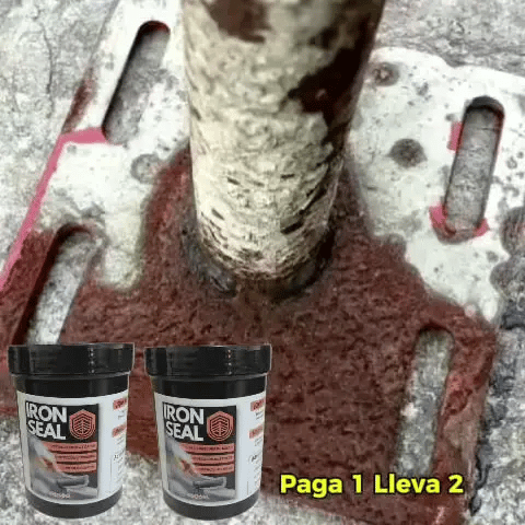 PAGA 1 Y LLEVA 2 Iron Seal - Elimina y previene el óxido de las superficies de metal