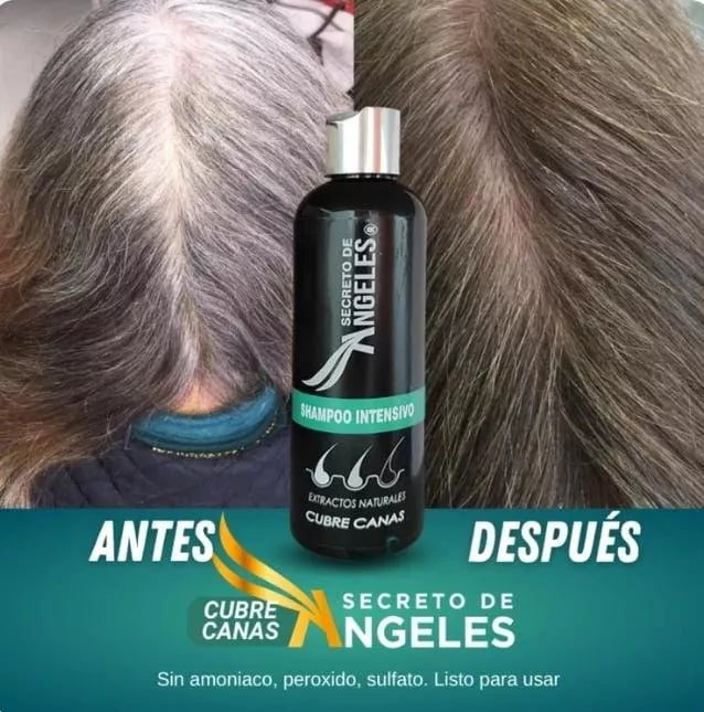 COMBO: SHAMPOO TAPA CANAS 250ML + TRATAMIENTO DE COLÁGENO 120ML + 🎁OBSEQUIO🎁 EXFOLIANTE CORPORAL GRANDE