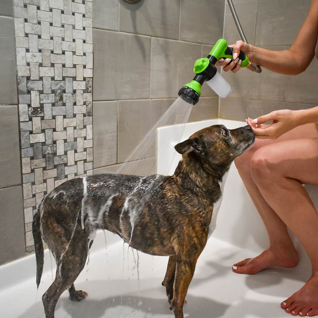 PupJet: Ducha para perros eficiente y potente color amarillo