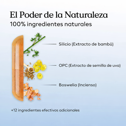 Arthro Complete - Ayuda a detener la inflamación por artrosis y regenerar el cartílago - 50%OFF