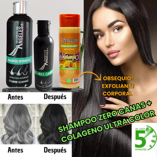 COMBO: SHAMPOO TAPA CANAS 250ML + TRATAMIENTO DE COLÁGENO 120ML + 🎁OBSEQUIO🎁 EXFOLIANTE CORPORAL GRANDE
